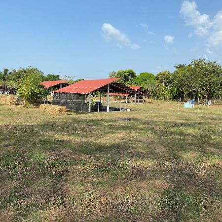 Hotel - Granja De Animales San Basilio De Palenque Сан-Басилио-дель-Паленке Экстерьер фото