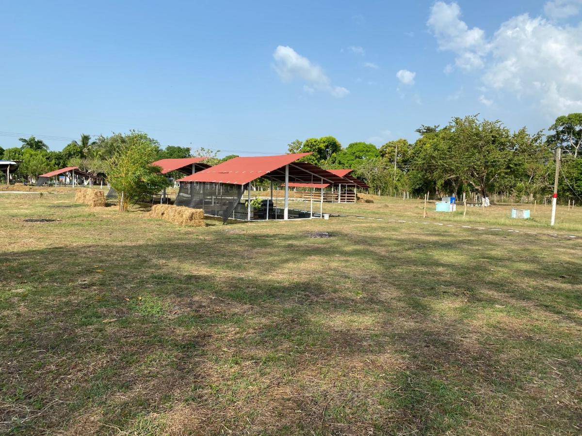Hotel - Granja De Animales San Basilio De Palenque Сан-Басилио-дель-Паленке Экстерьер фото