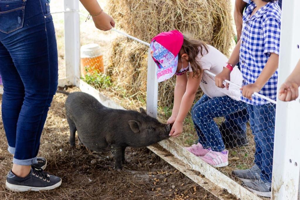 Hotel - Granja De Animales San Basilio De Palenque Сан-Басилио-дель-Паленке Экстерьер фото