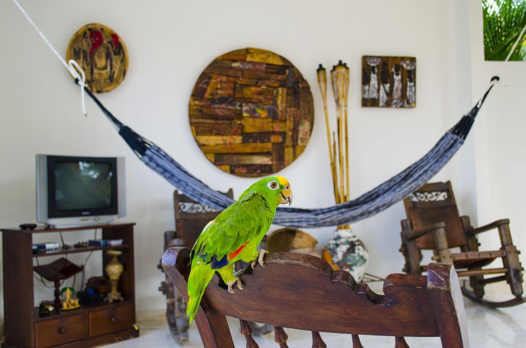 Hotel - Granja De Animales San Basilio De Palenque Сан-Басилио-дель-Паленке Экстерьер фото